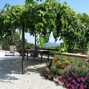 Verderame: Natura E Relax Appartamento Almenno San Bartolomeo